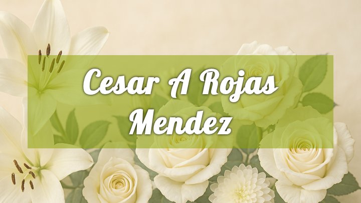 Cesar A Rojas Mendez, Bronx, NY