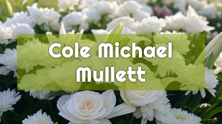 Cole Michael Mullett, Parkersburg, WV