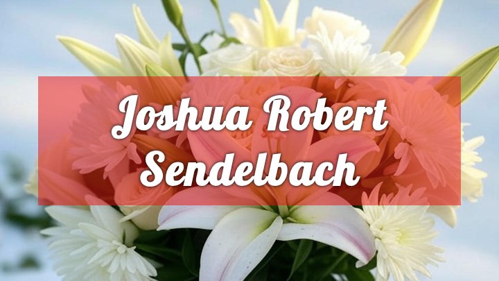 joshua robert sendelbach whitehall wi obituary