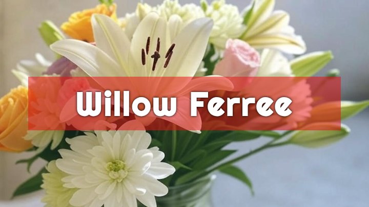 willow ferree columbus in obituary